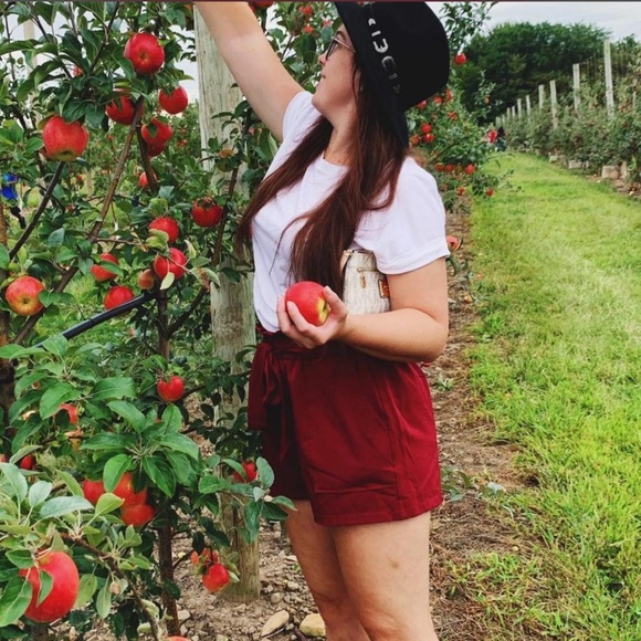 Burgundy Paperbag Shorts - Picture 4 of 4